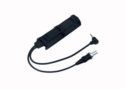Remote Dual Switch 2 Plug