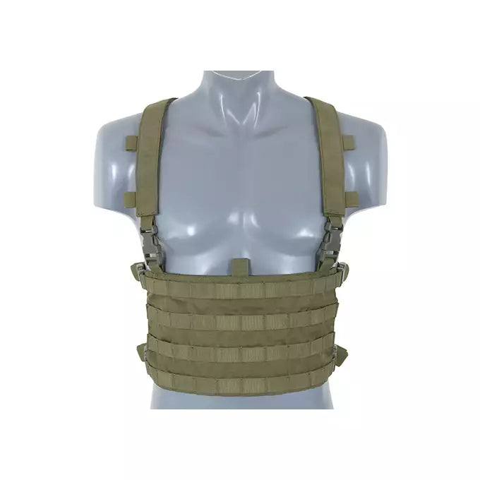Backpack w/ Molle Front panel Olive