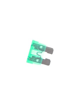 Normal Type Fuse 30A